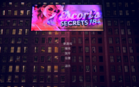 [欧美SLG官中动态]Escort's Secrets 18+ 护送者的秘密1.0官方版[电脑3G/FM/OD+115]